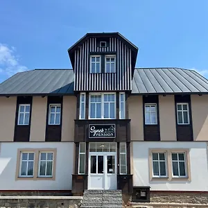 4* Aparthotel Synek